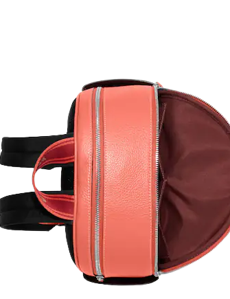 Coach Court Backpack In Signature Canvas
