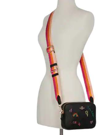 Coach Mini Camera Bag With Diary Embroidery