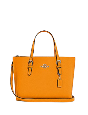 Coach Mollie Tote 25