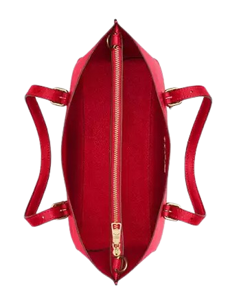 Coach Mollie Tote 25