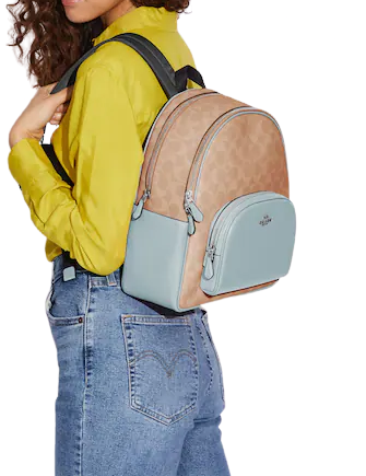 Coach Court Backpack In Signature Canvas