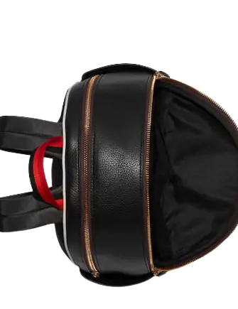 Coach Court Backpack With Tiger Print