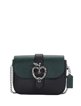Coach Gemma Crossbody In Colorblock With Apple Buckle
