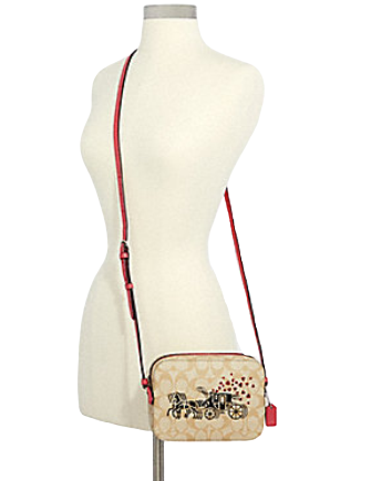 Coach Mini Camera Bag in Signature Horse and Carriage Heart Print