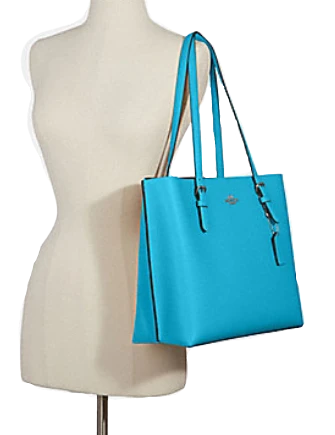 Coach Mollie Tote