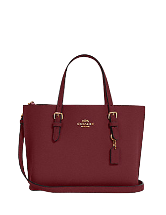 Coach Mollie Tote 25