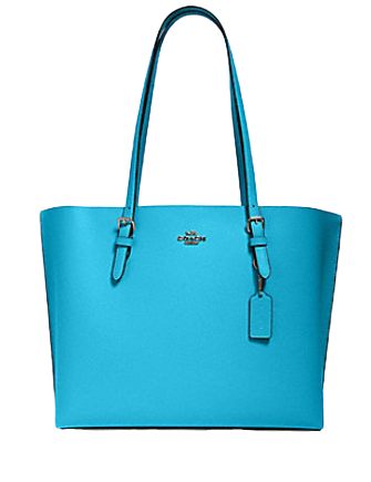 Coach Mollie Tote