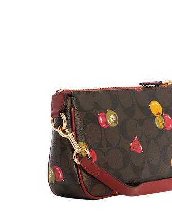 Coach Nolita 19 In Signature Canvas With Ornament Print